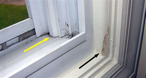 who to call for leaking window|Leaky Window Repair: Causes + Fixes 